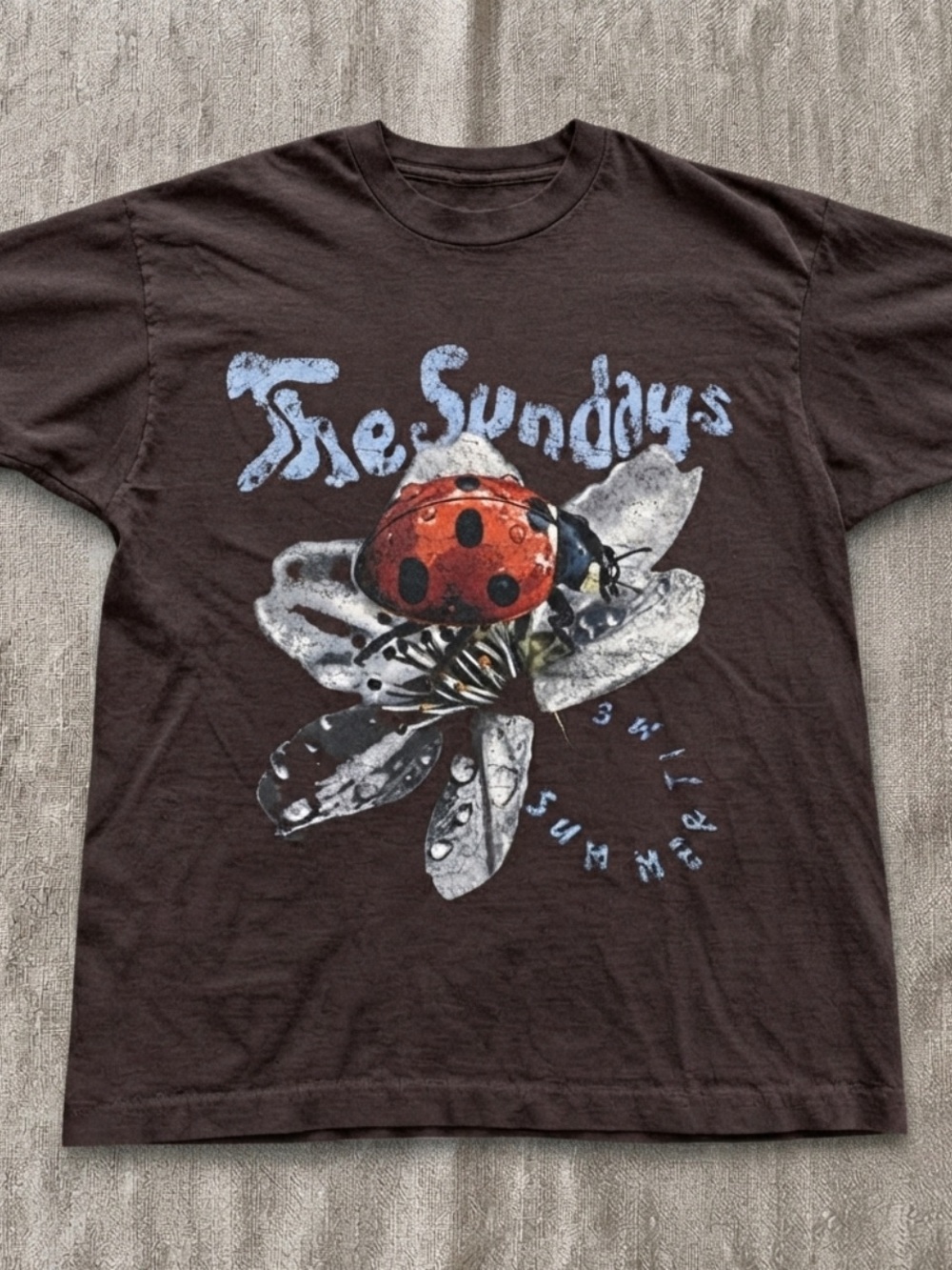 Gildan Brown Graphic Tee with Red Ladybug